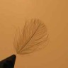 CDC Feathers from Duck (natural gray)